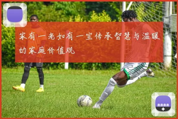 家有一老如有一宝传承智慧与温暖的家庭价值观